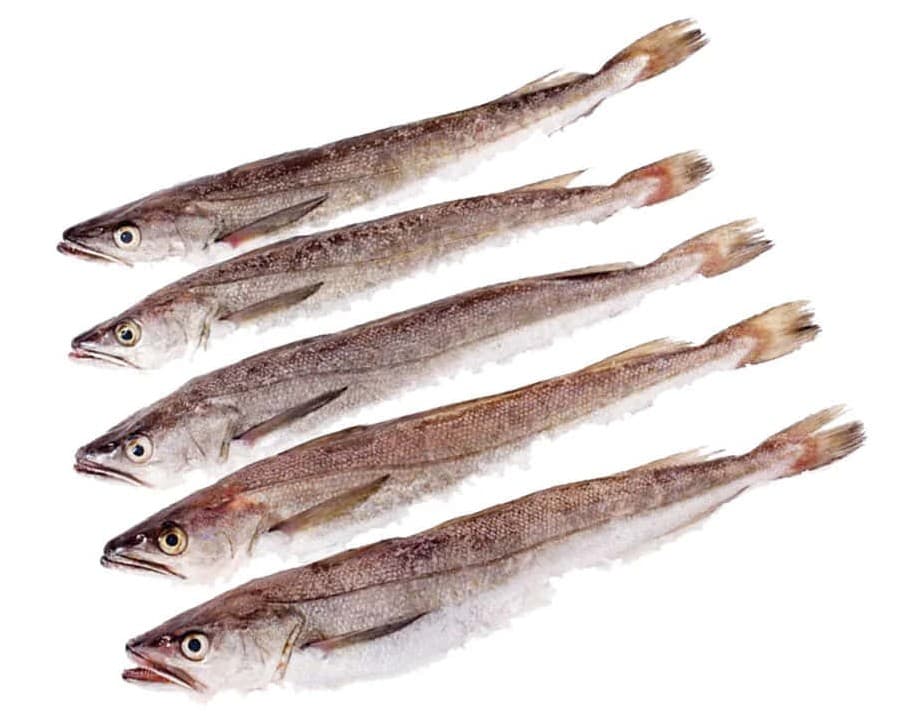 Merlan Friture